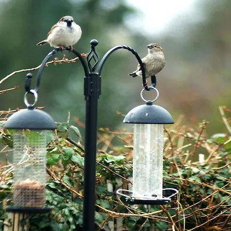 Eske Bed & Breakfast